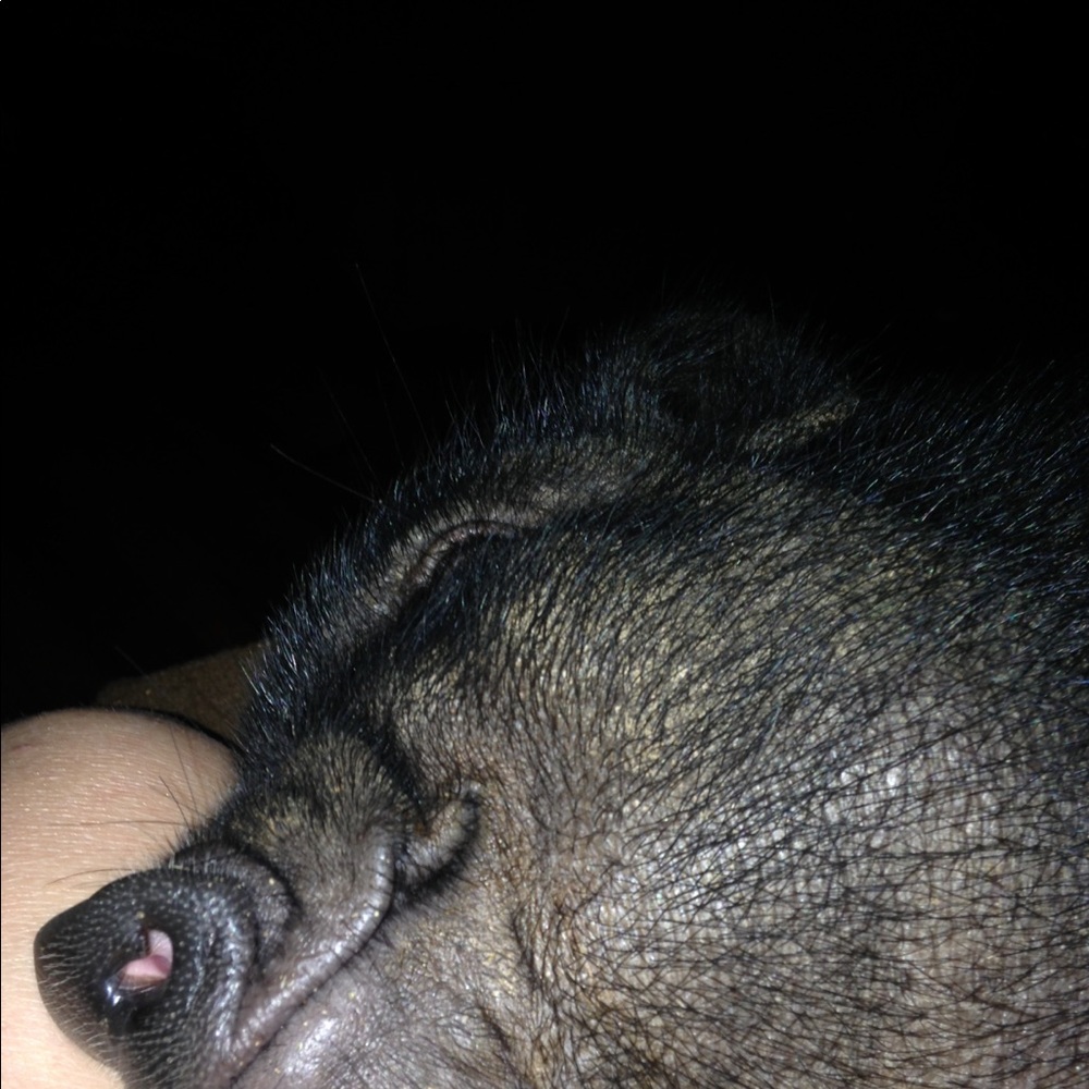 Meet your Posher, Alyson